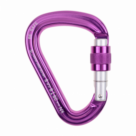 be-safe-screw-(10)